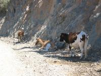 Corsica05 322